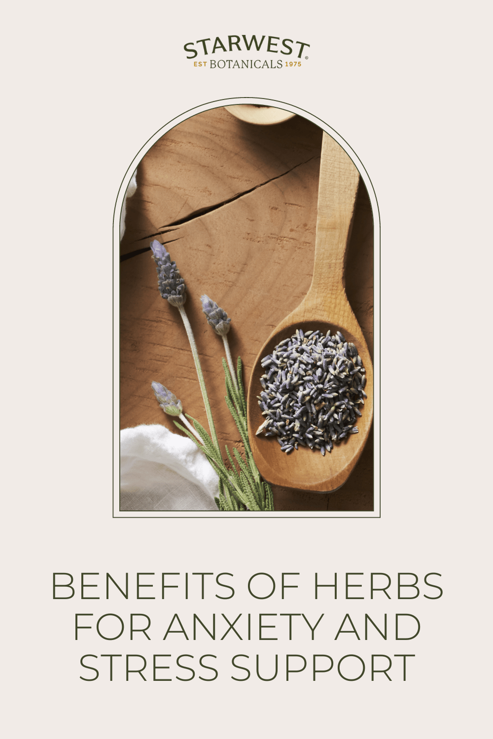 Benefits of Herbs for Anxiety and Stress Support Starwest Botanicals