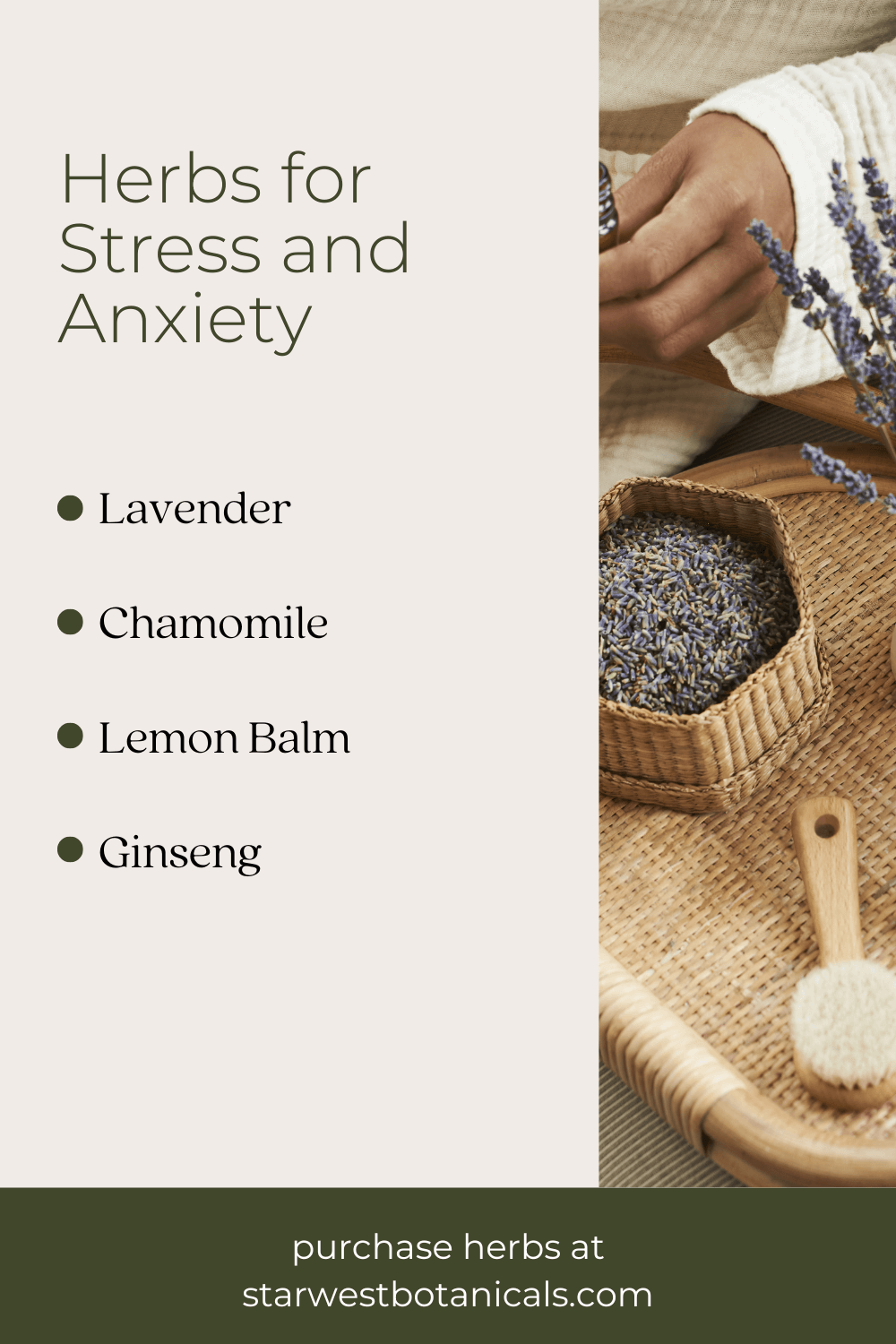 Best Herbs for Stress Support Starwest Botanicals Starwest Botanicals
