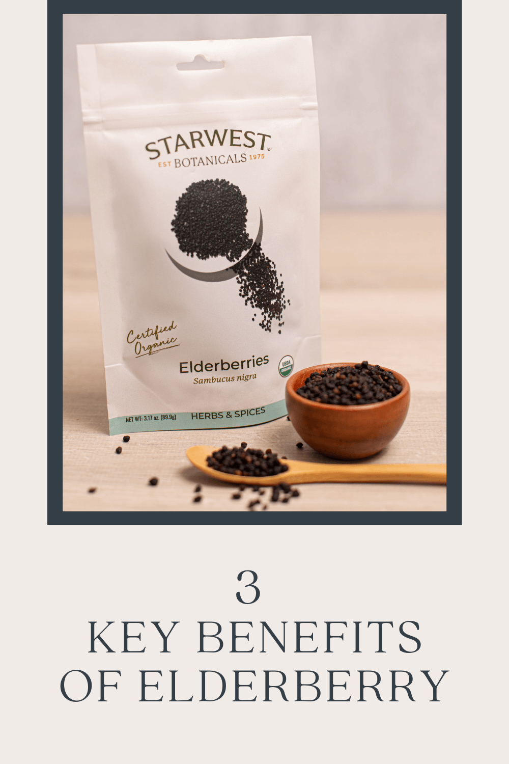 3-benefits-of-elderberry1.png