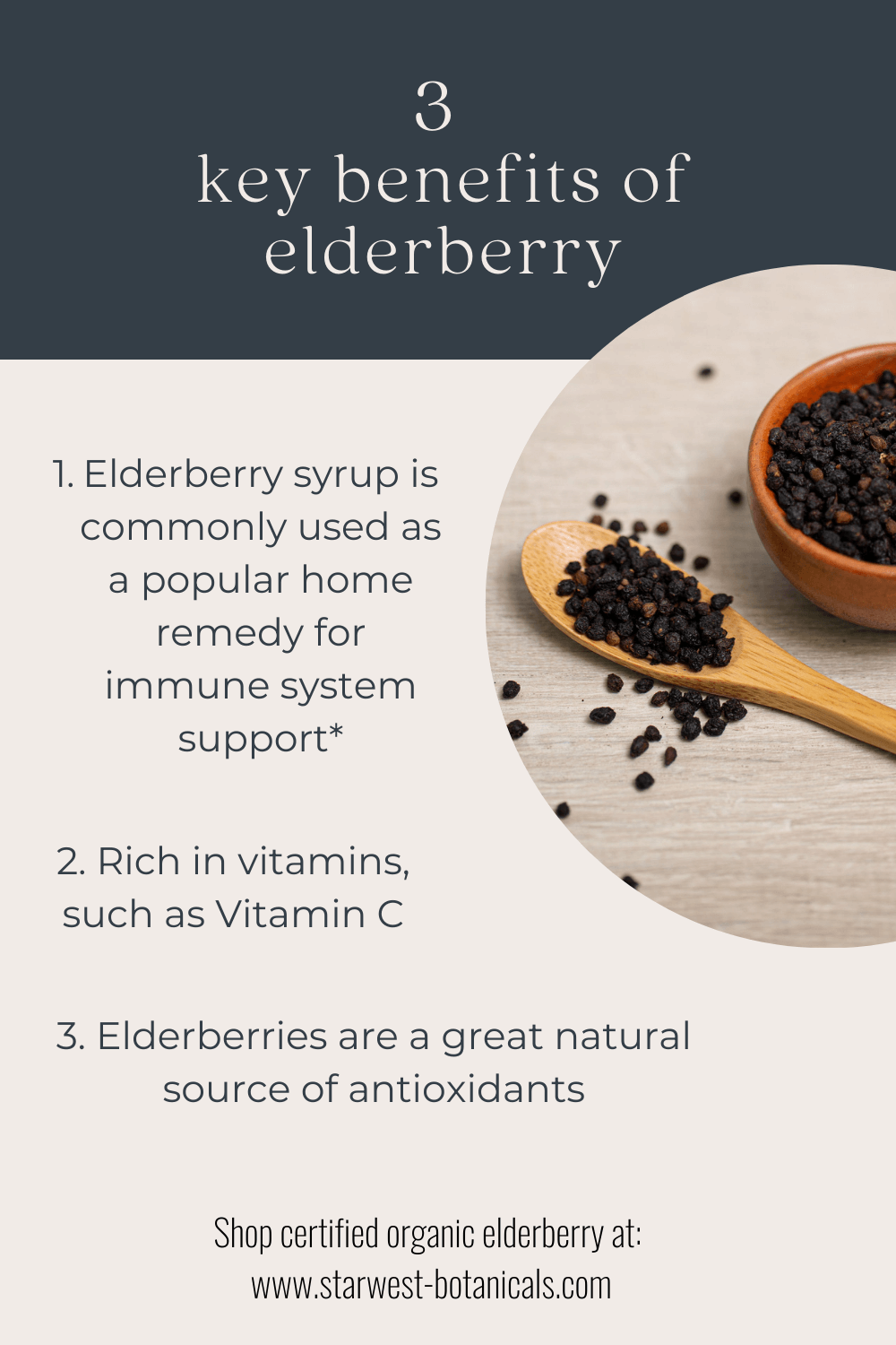 3-benefits-of-elderberry2.png