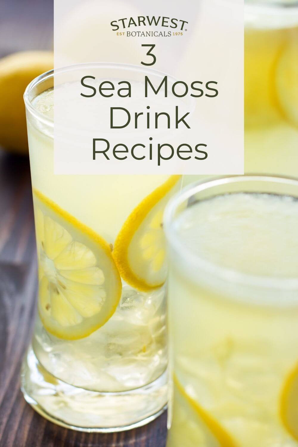 3-sea-moss-drinks-1.jpg