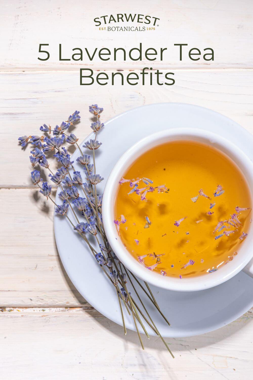 5-benefits-of-lavender-tea-1.jpg