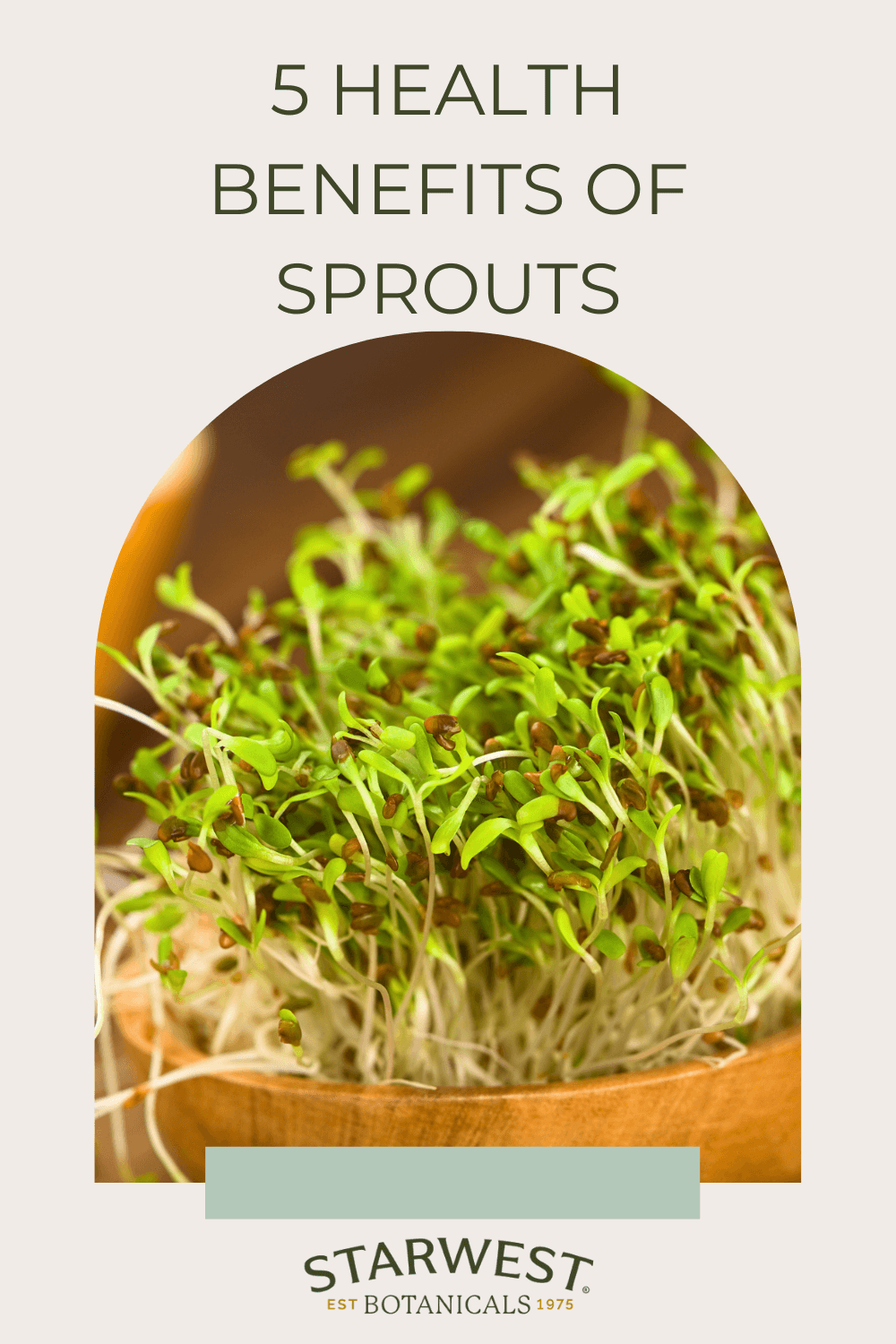 5-health-benefits-of-sprouts1.png