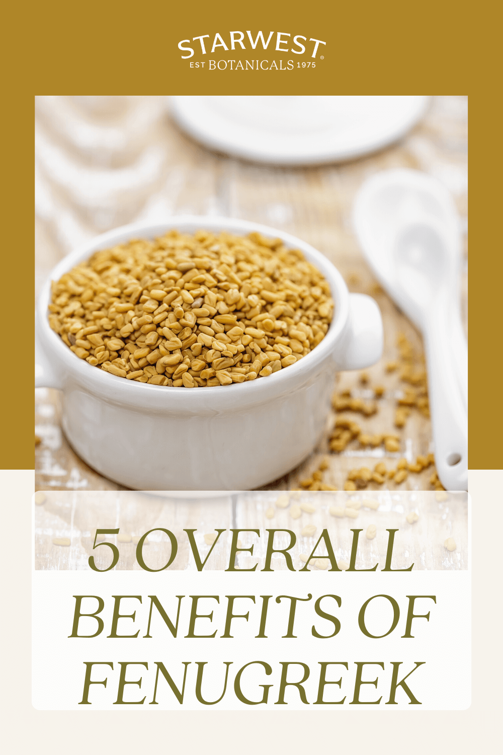 5-overall-benefits-of-fenugreek1.png