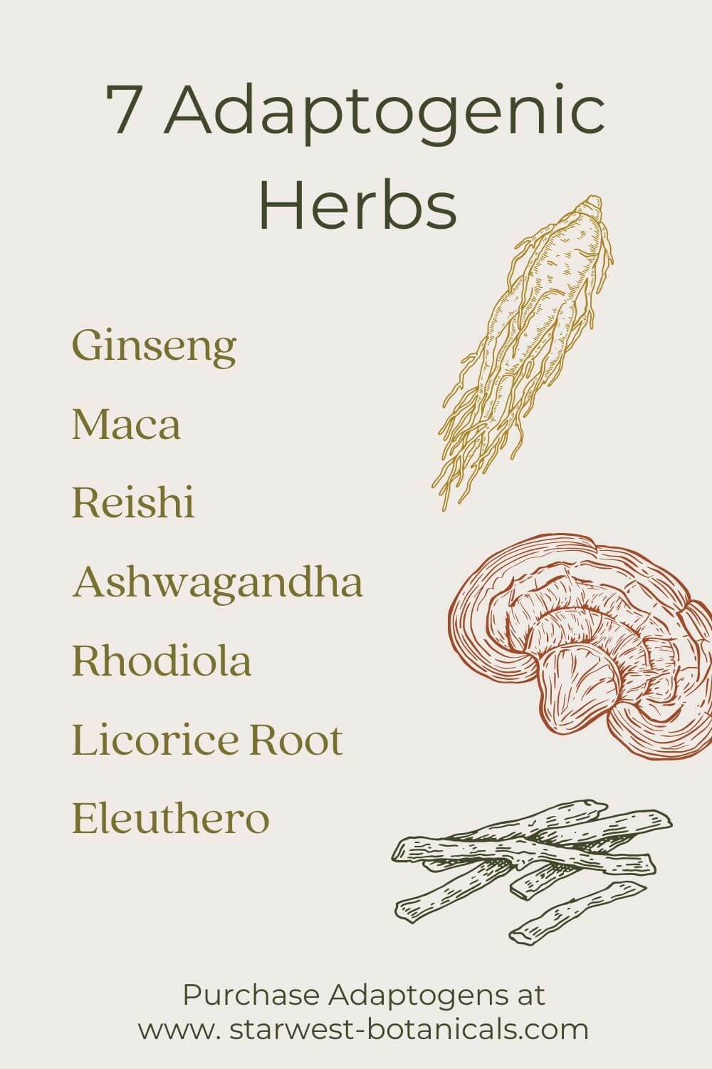 7-adaptogenic-herbs-1-.jpg