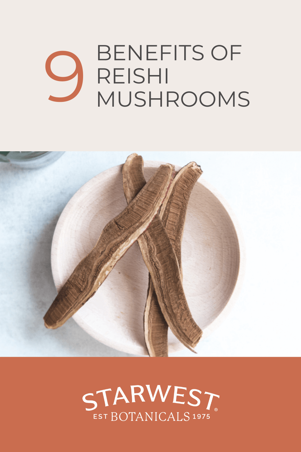 9-benefits-of-reishi-mushrooms.png