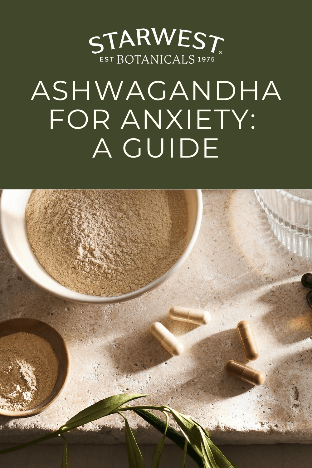 ashwagandha-for-anxiety-a-guide1.png
