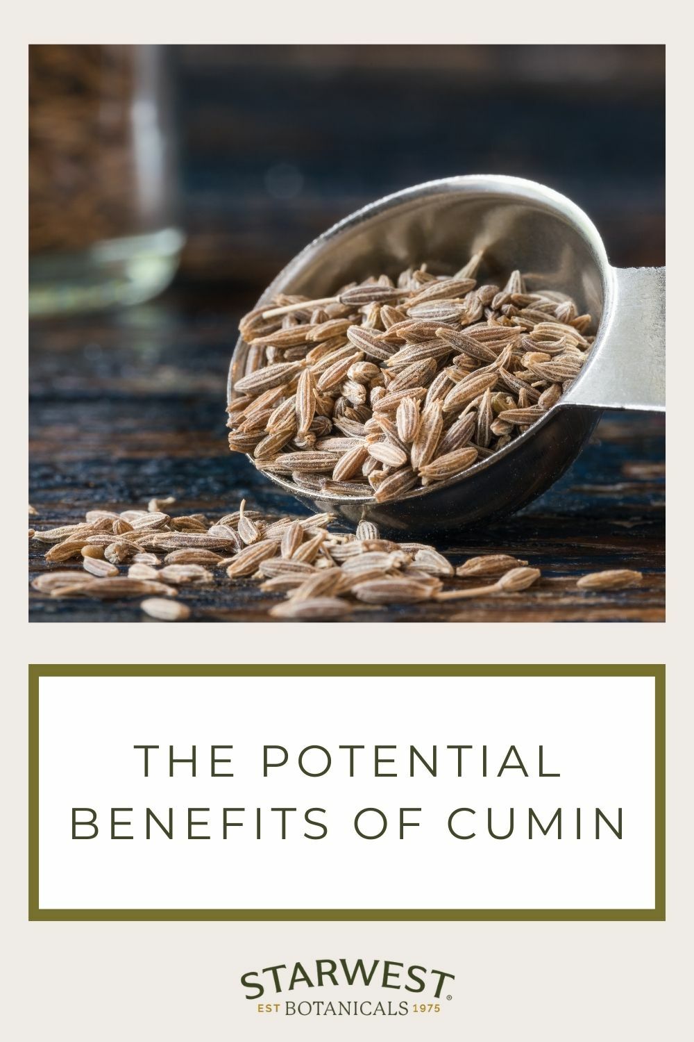 ayurveda-cumin-1.jpg