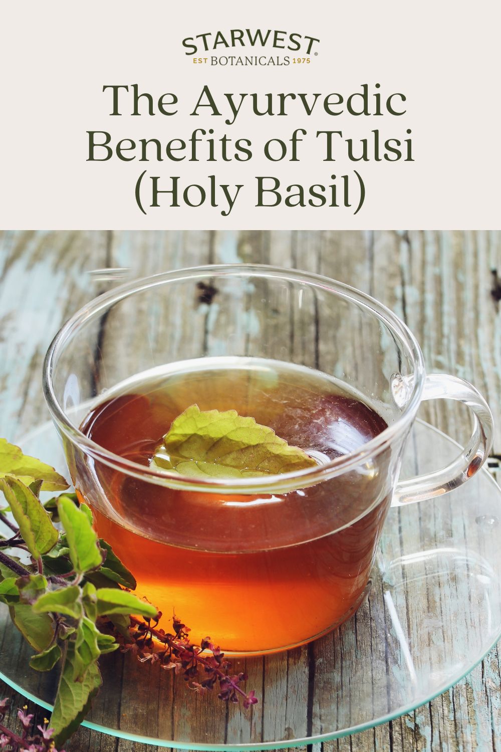 ayurveda-tulsi-january.jpg