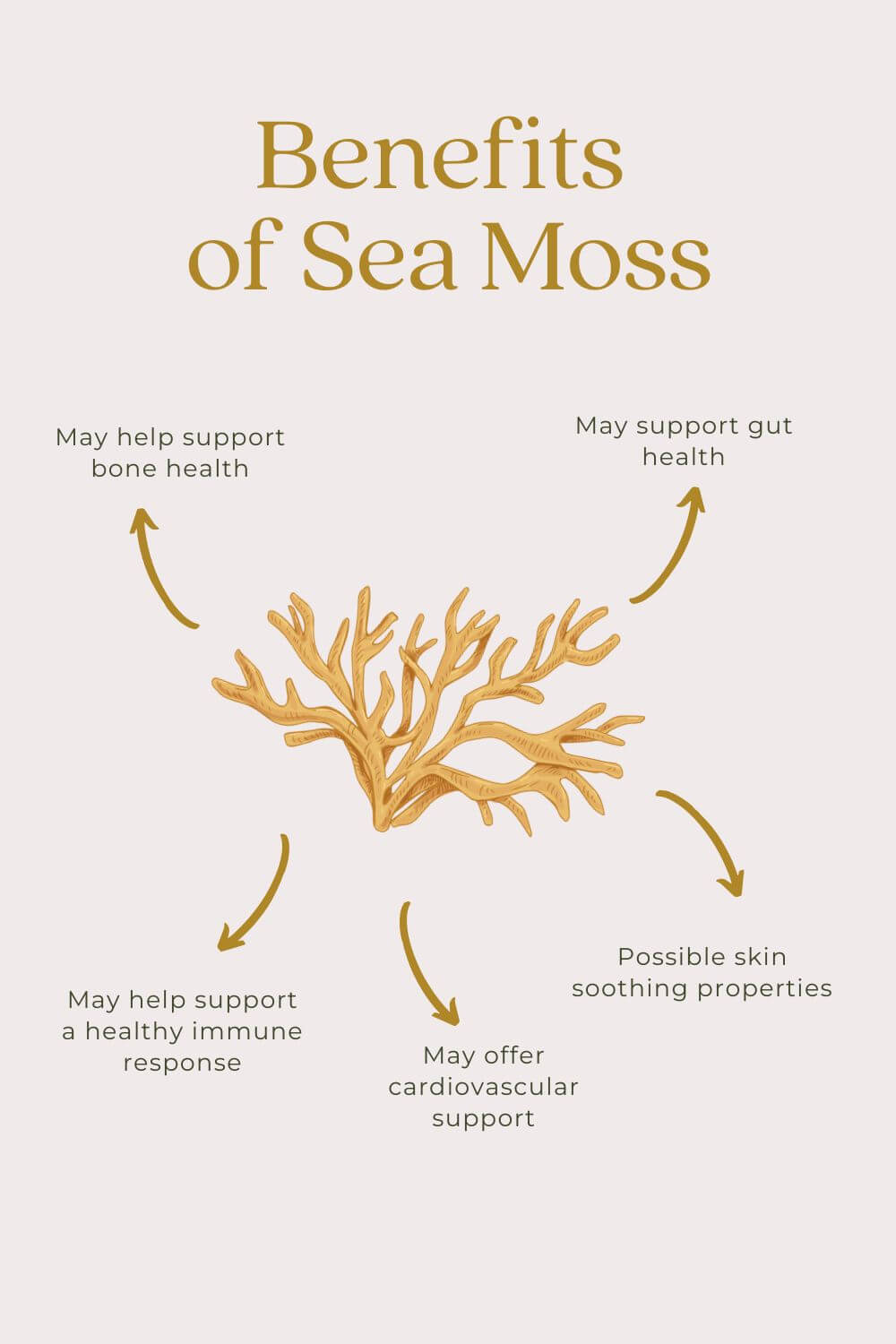 benefits-of-sea-moss-2.jpg