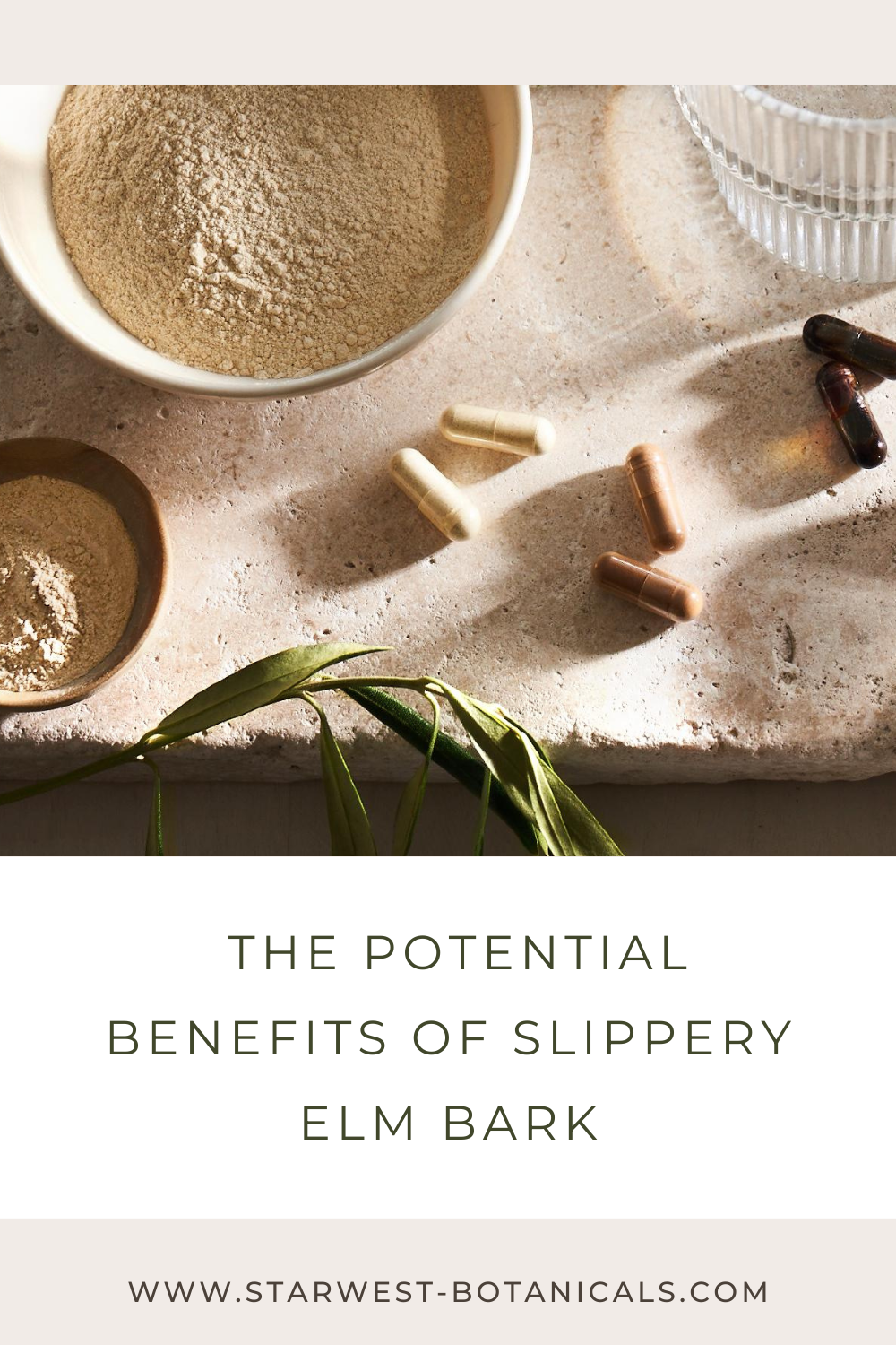 Slippery Elm the king of digestive herbs - Vitality Science