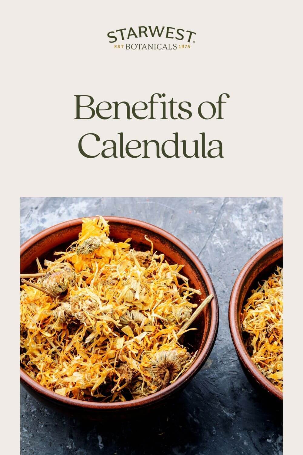 calendula-benefits-1.jpg