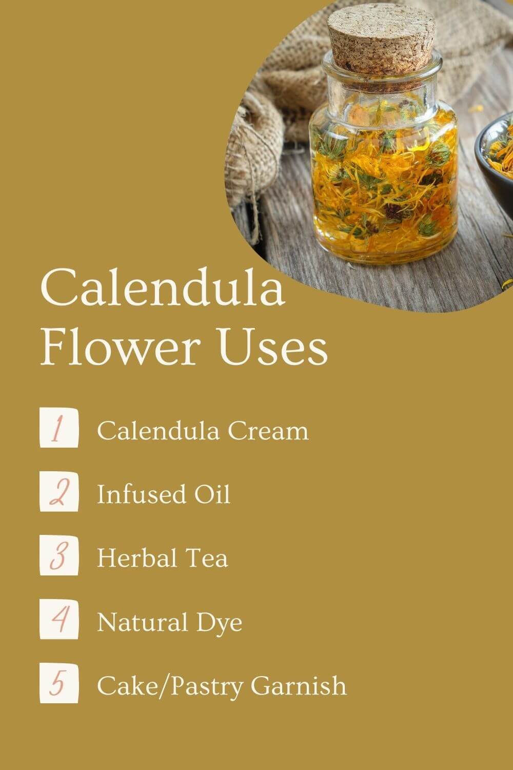 calendula-benefits-2.jpg