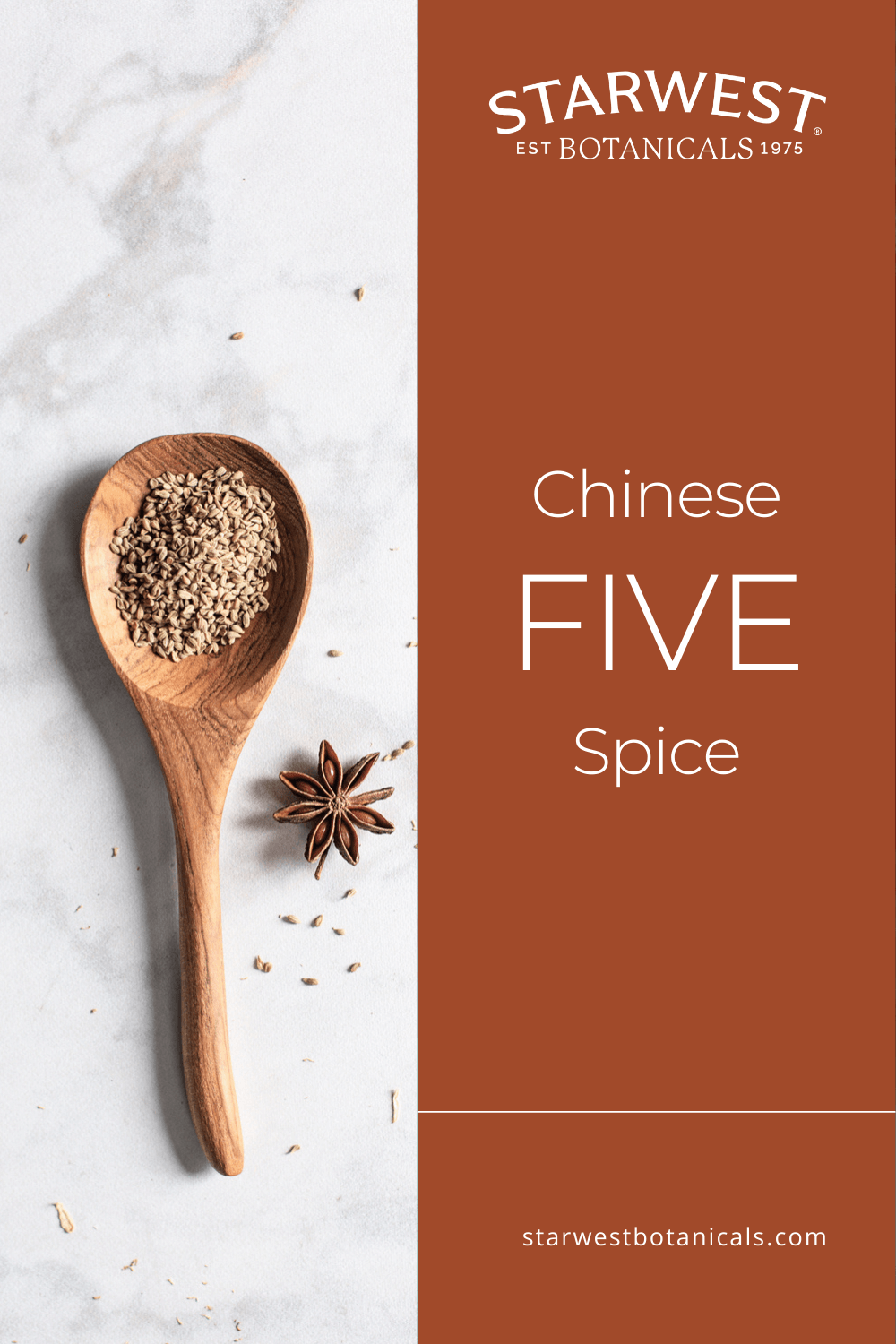 chinese-five-spice1.png