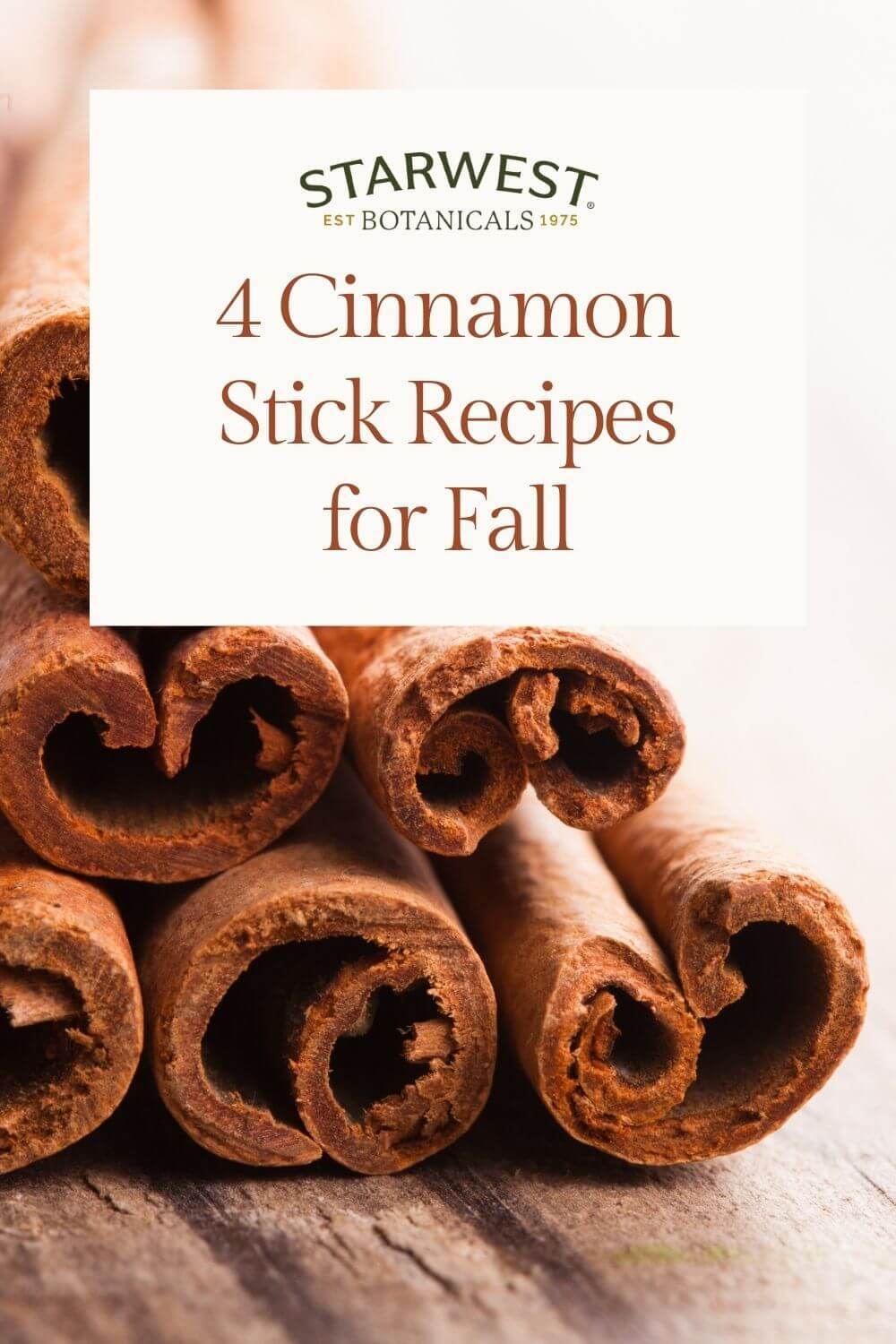 cinnamon-stick-recipe-1.jpg