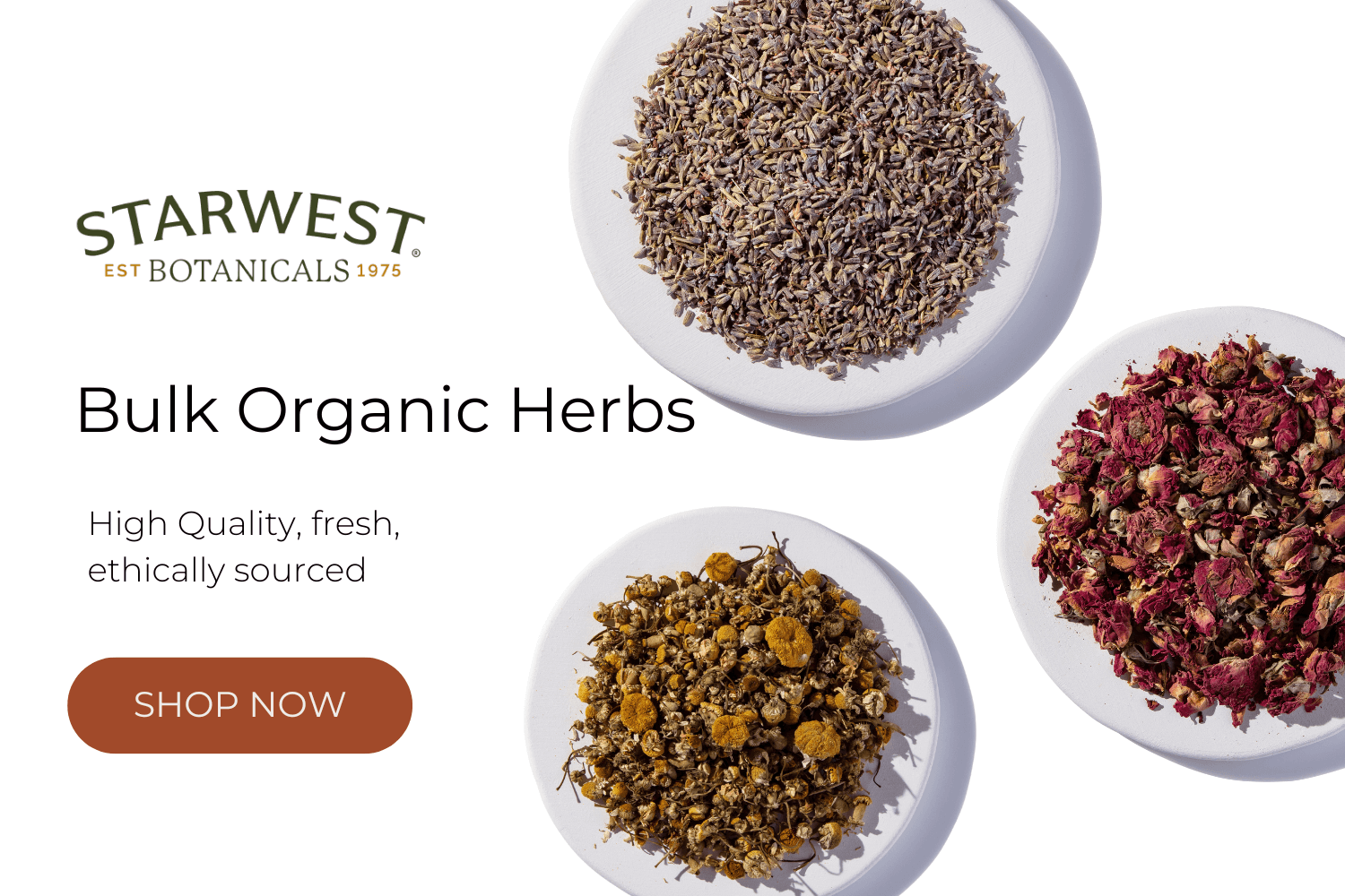 cta-herbs-lavender-1-.png
