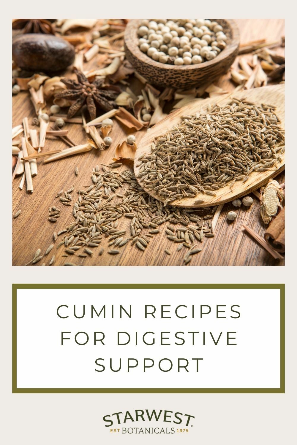 cumin-recipes-1.jpg