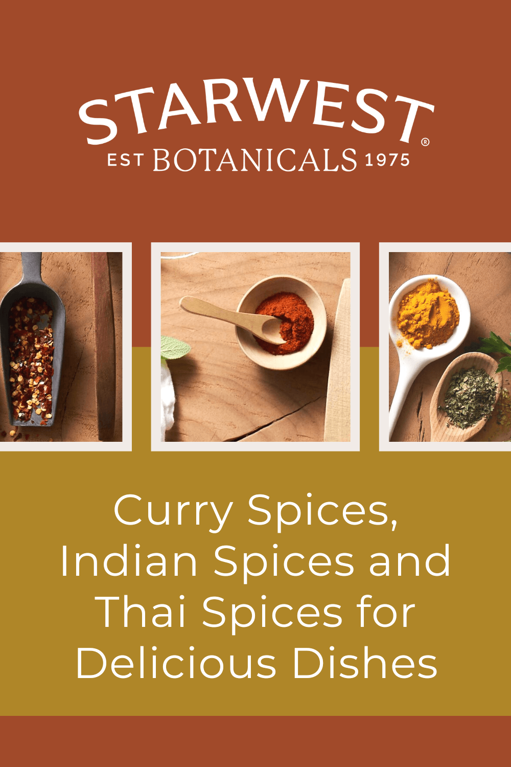 curry-indian-and-thai-spices.png