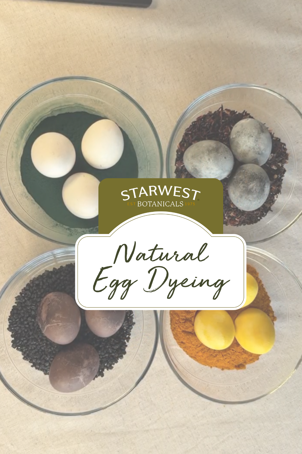 Natural egg dyeing using dried botanicals. Four glass bowls show eggs colored with different ingredients: spirulina (green liquid), hibiscus (dark petals, gray-purple eggs), elderberries (deep purple tones), and turmeric (bright yellow eggs). Starwest Botanicals branding reads &ldquo;Natural Egg Dyeing.&rdquo;