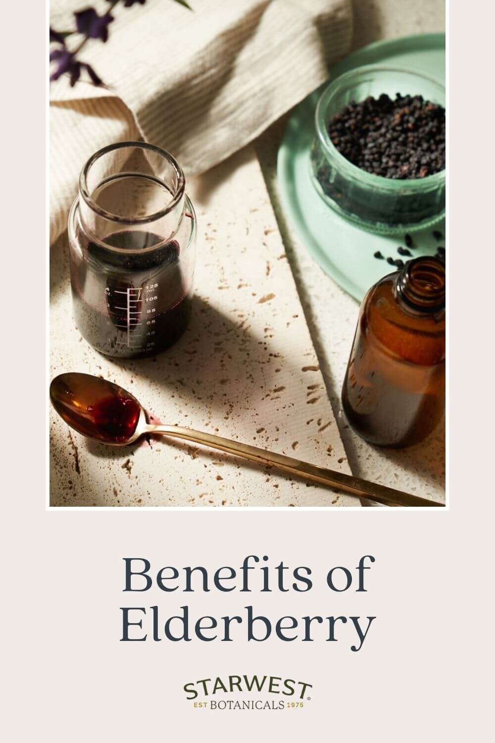 elderberry-benefits-1.jpg