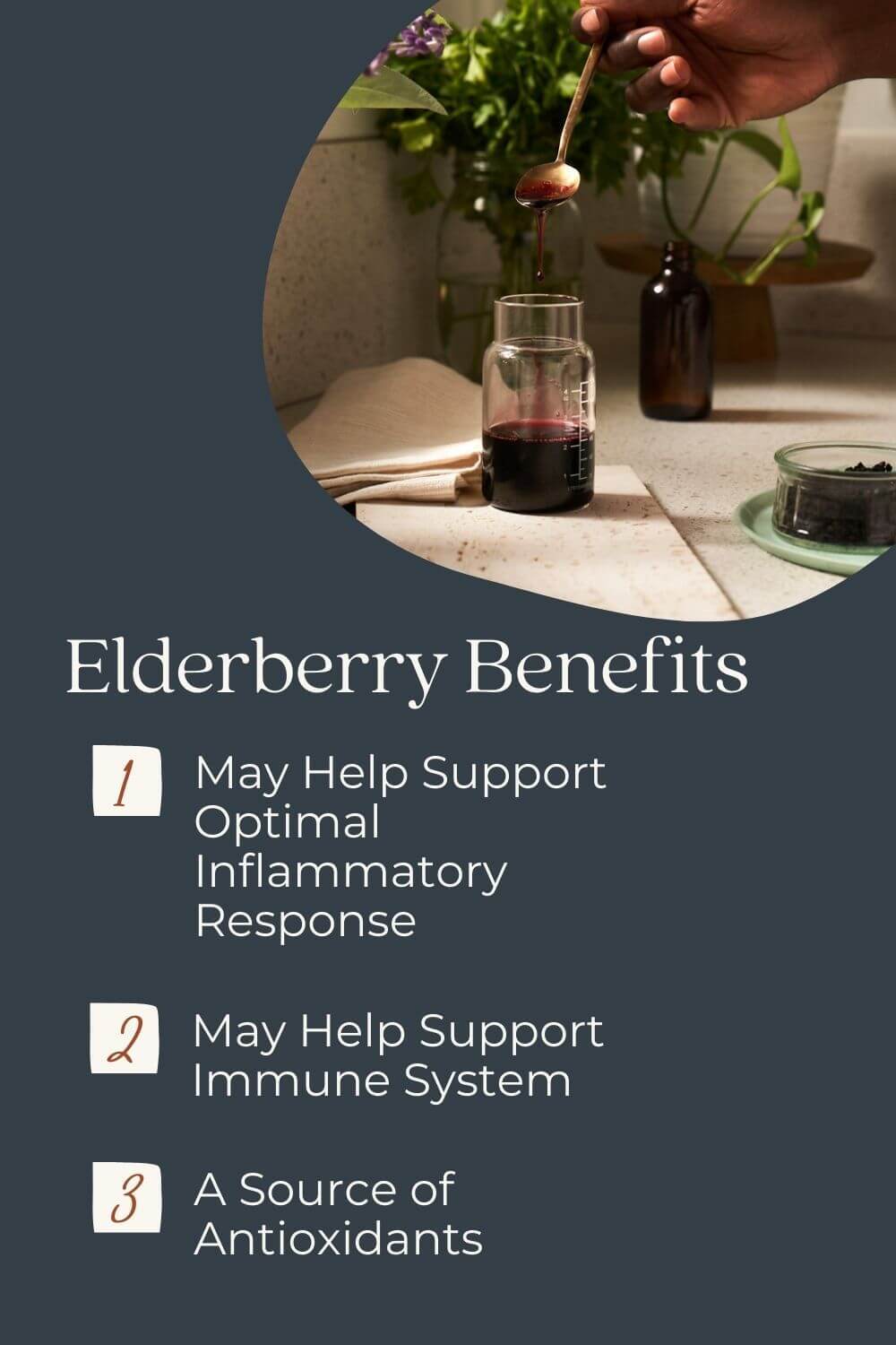 elderberry-benefits-2.jpg