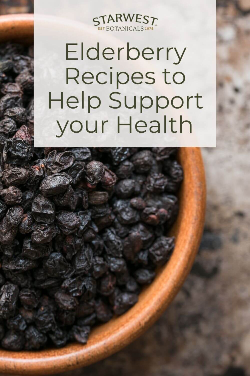 elderberry-recipes-1.jpg