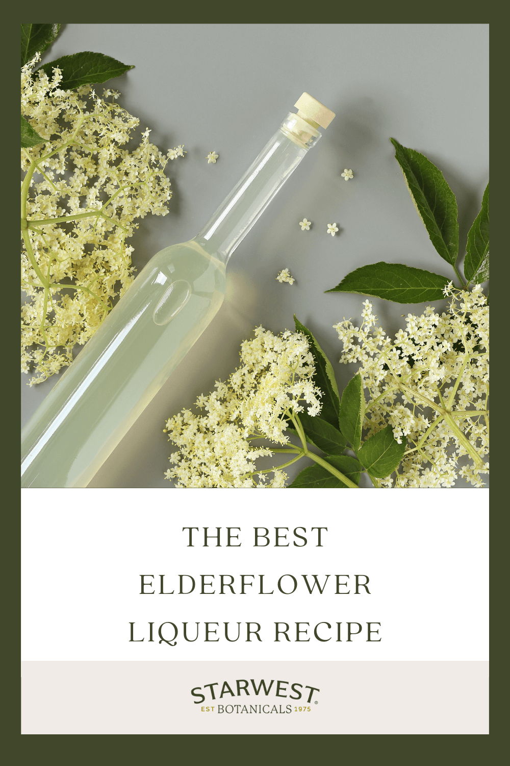 elderflower-1.png