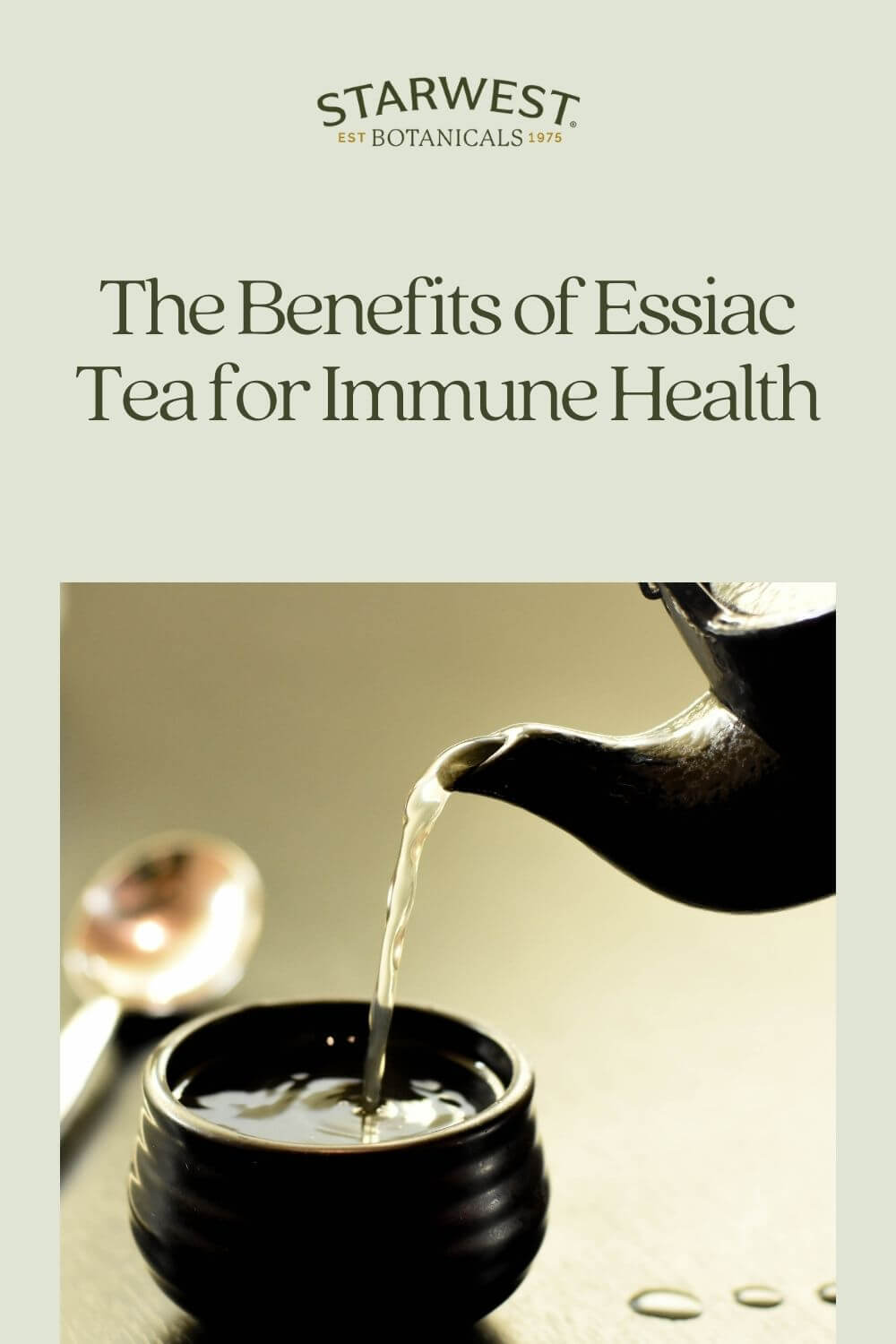 essiac-for-immune-health-1-1-.jpg