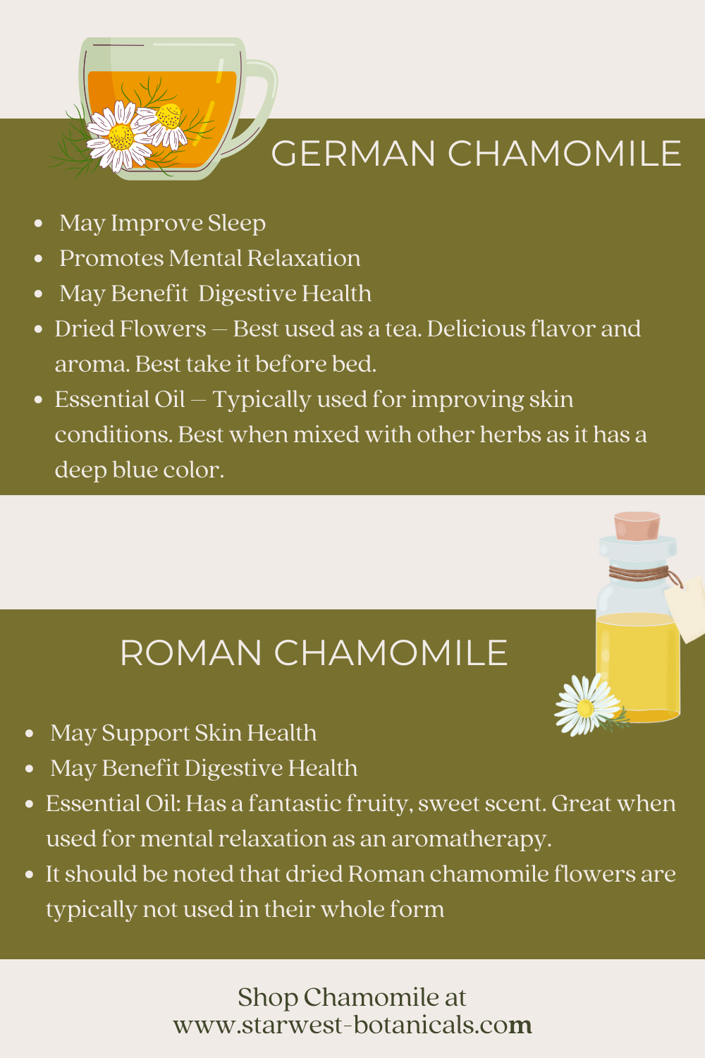 german-vs-roman-chamomile-2-.png