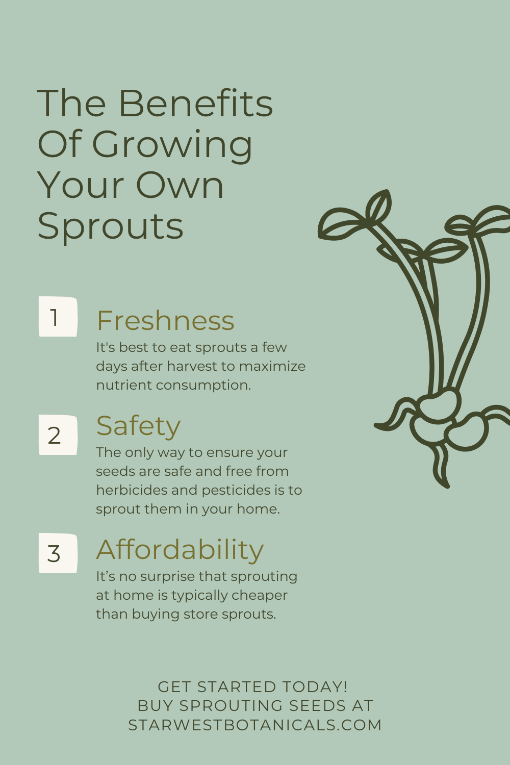 grow-sprouts-at-home-a-guide2.png