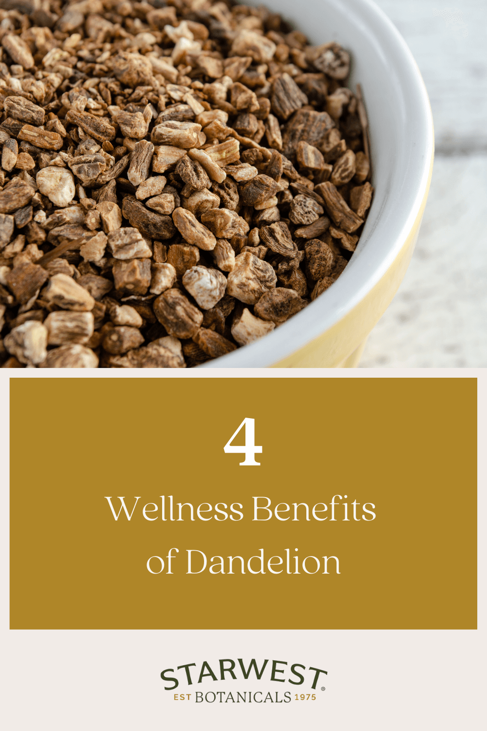 health-benefits-of-dandelion1.png