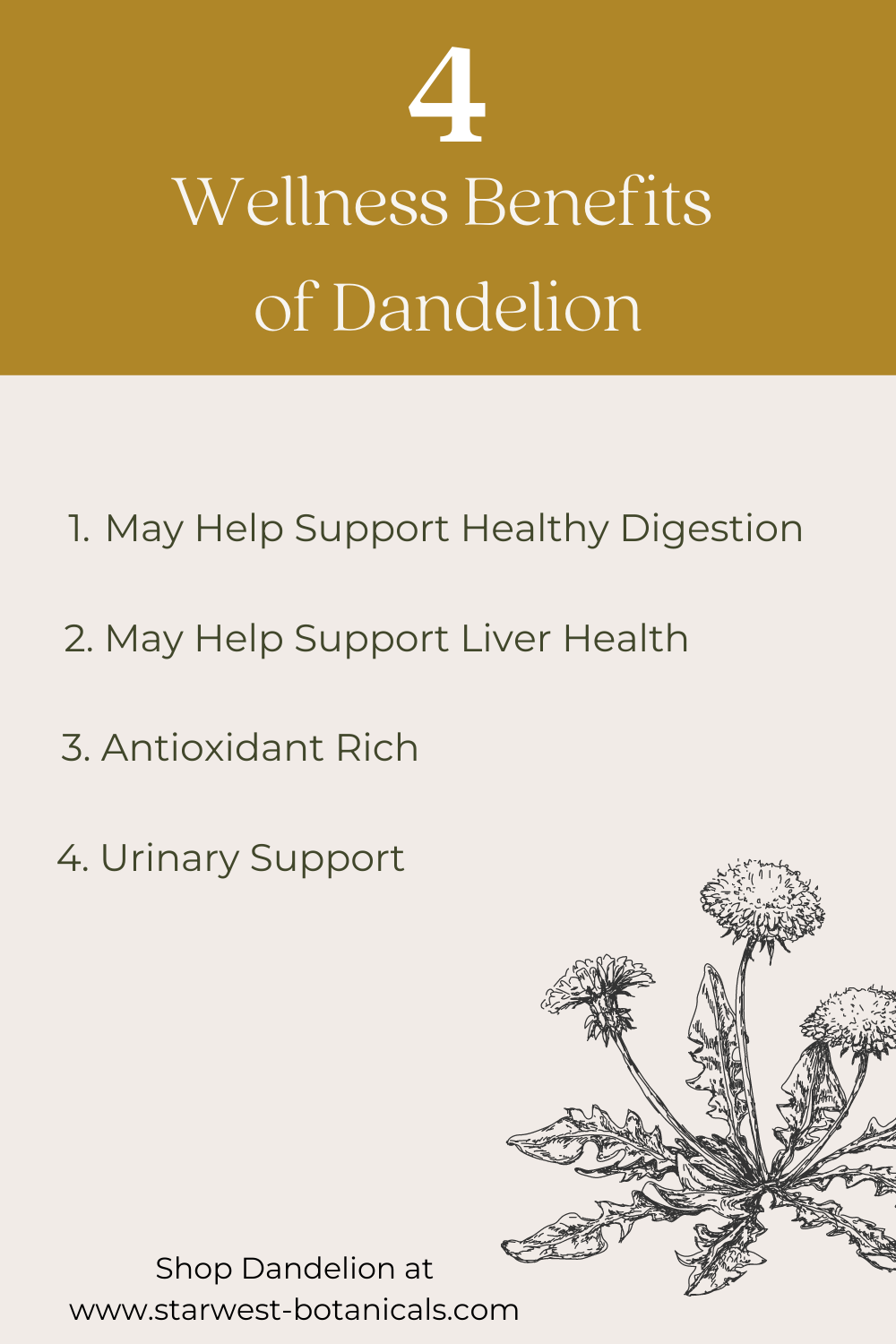 health-benefits-of-dandelion2.png