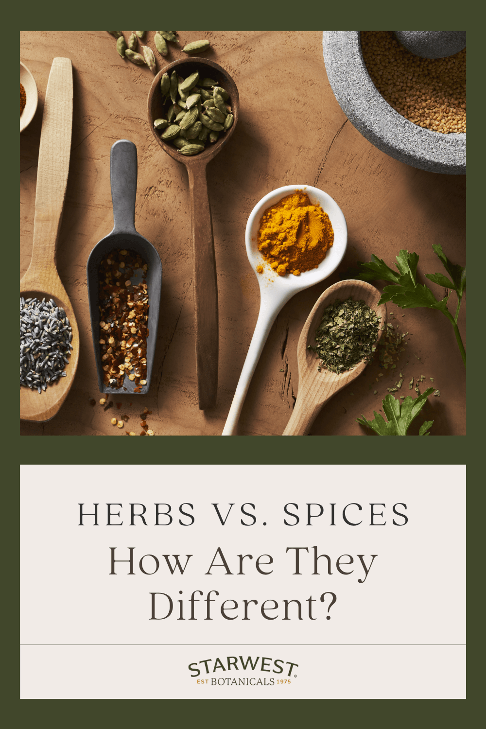 herbsvsspices1.png