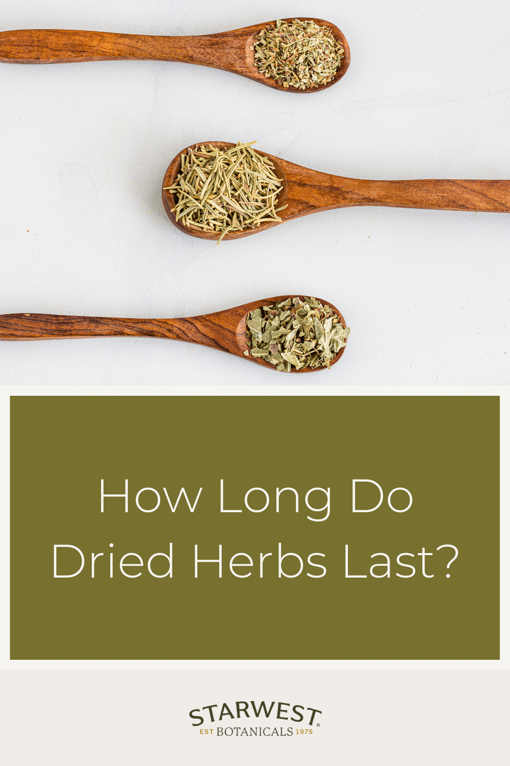 how-long-do-dried-herbs-last-1.png