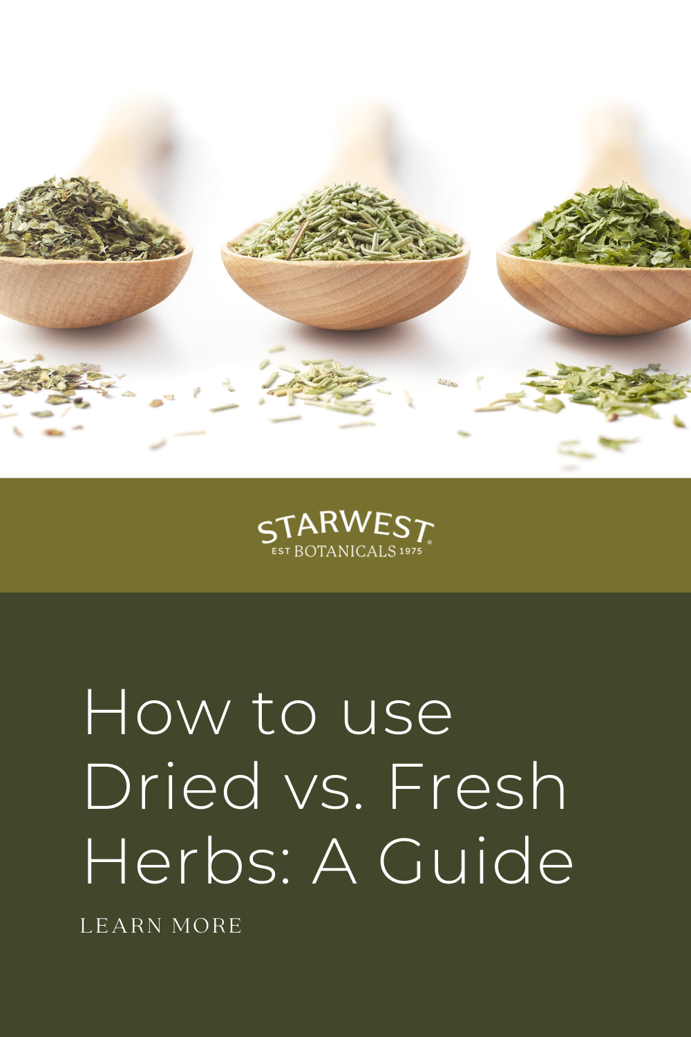 how-to-use-dried-vs.-fresh-herbs-a-guide1.png