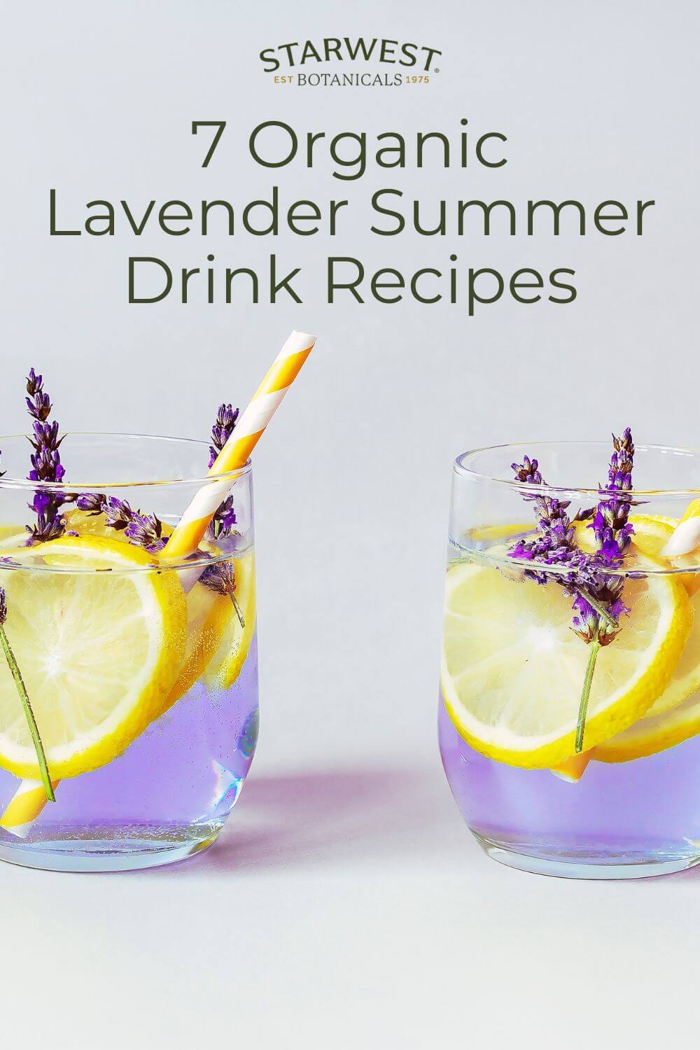 lavender-drink-recipes-1.jpg