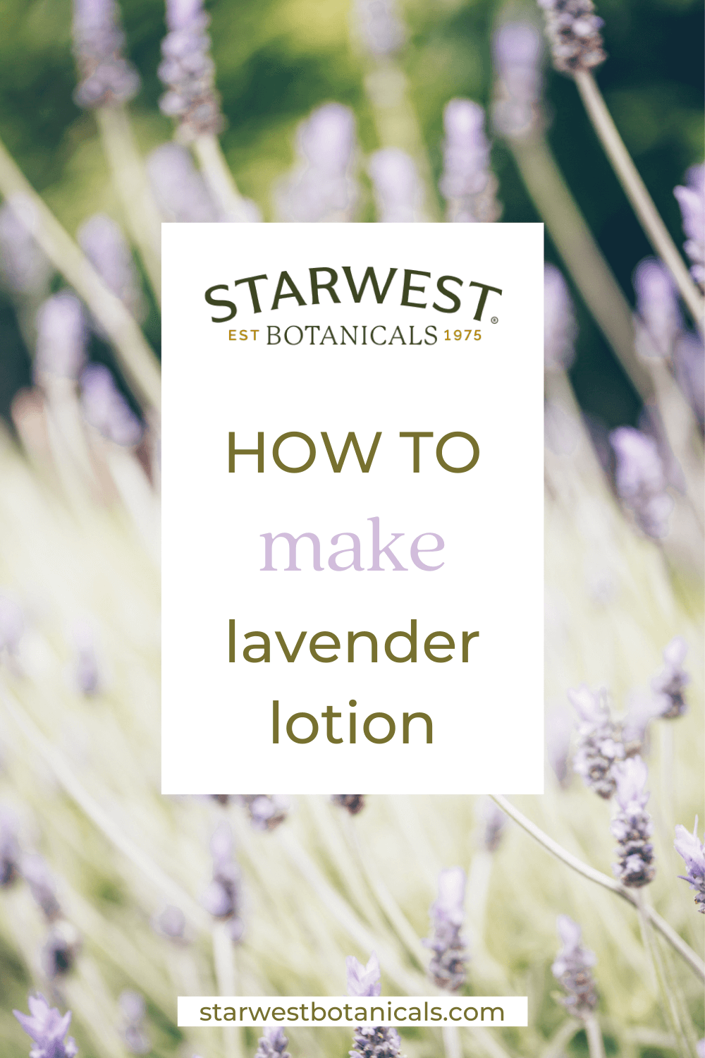 lavenderlotion.png