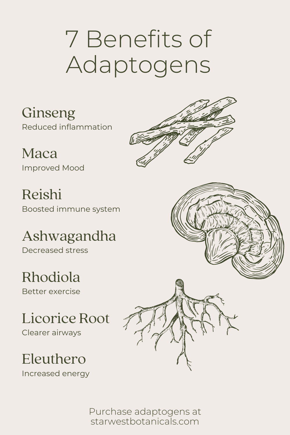 list-of-adoptogens-and-benefits2.png