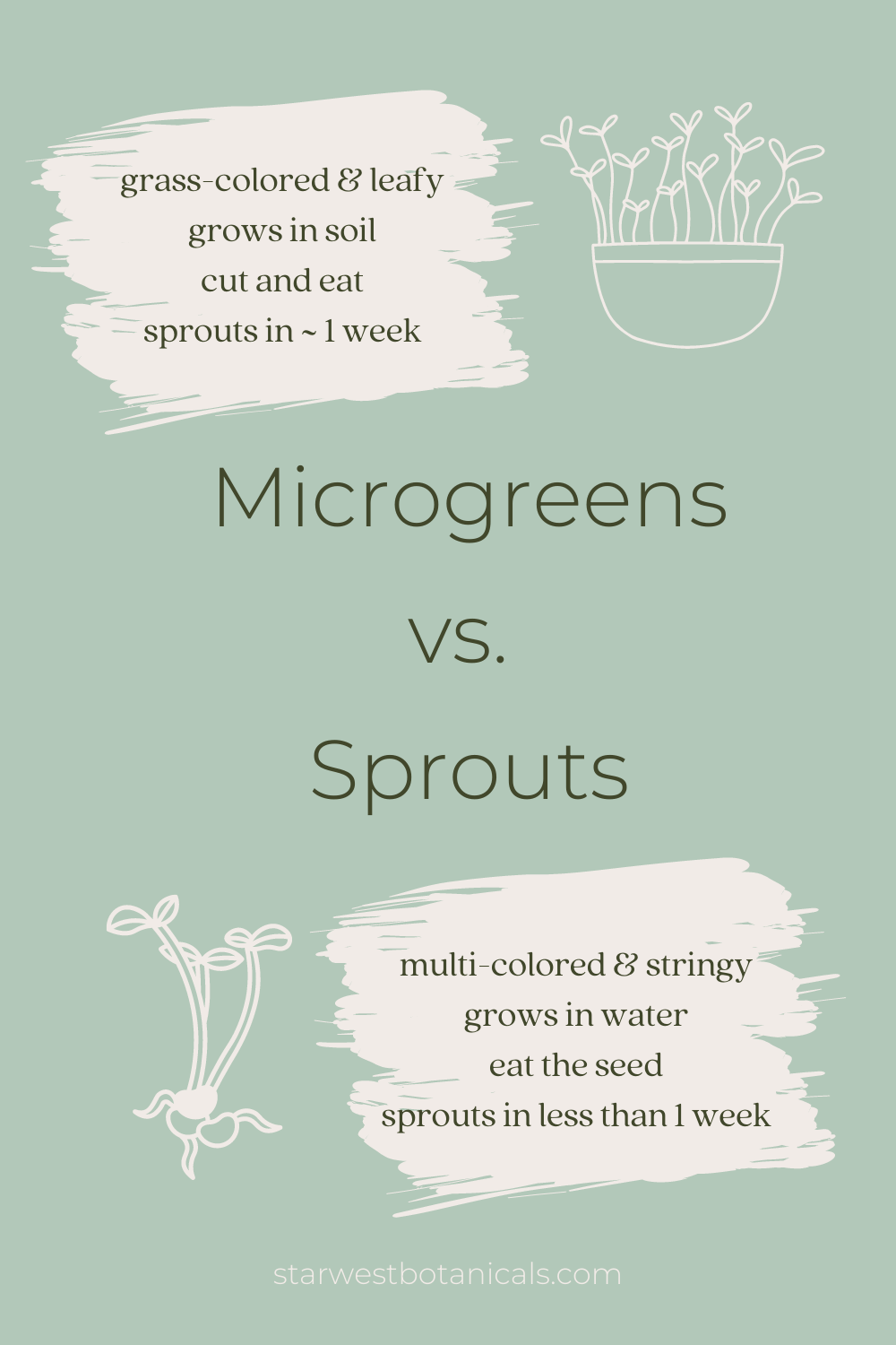 microgreenvssprouts2.png