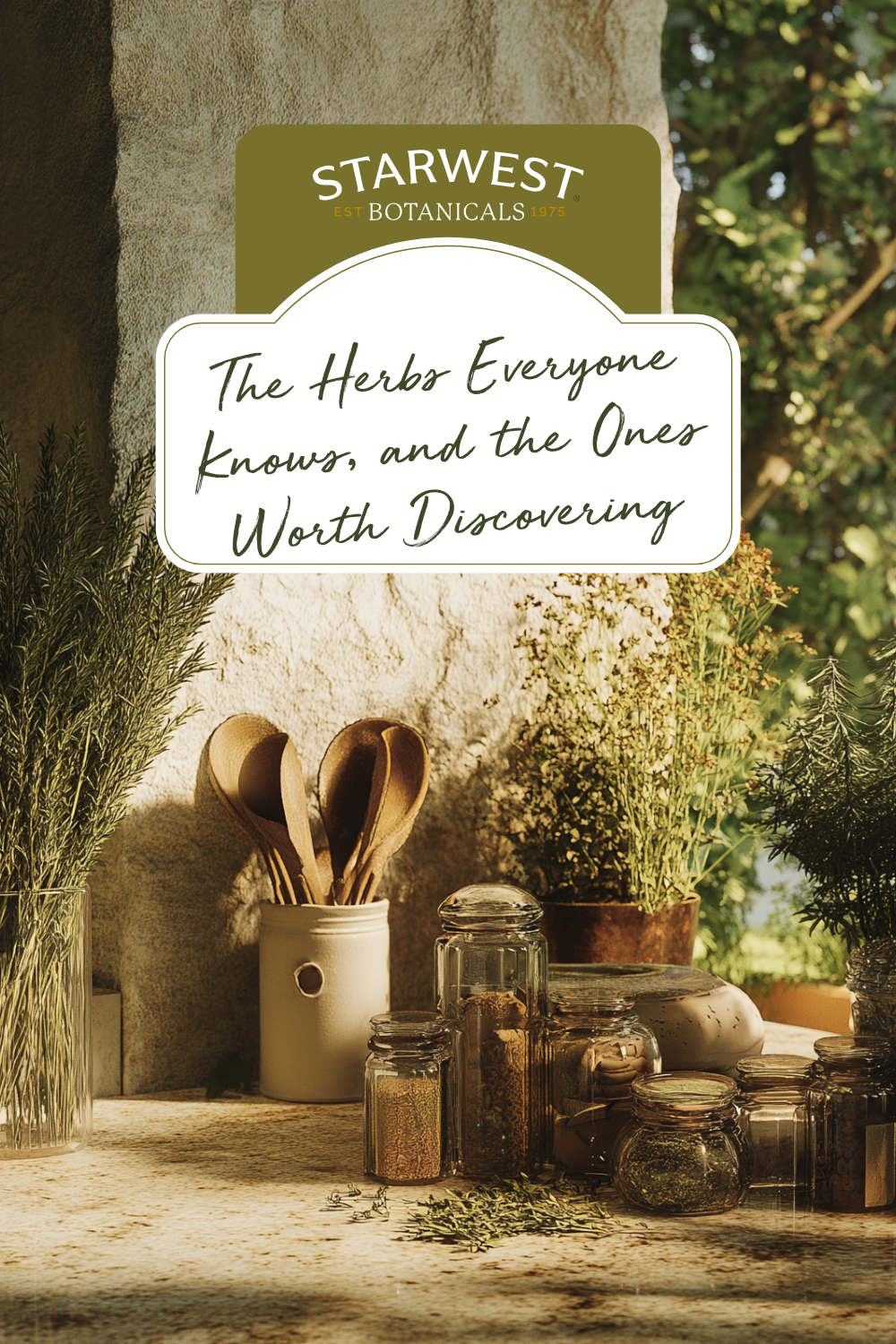 The Herbs Everyone Knows, and the Ones Worth Discovering