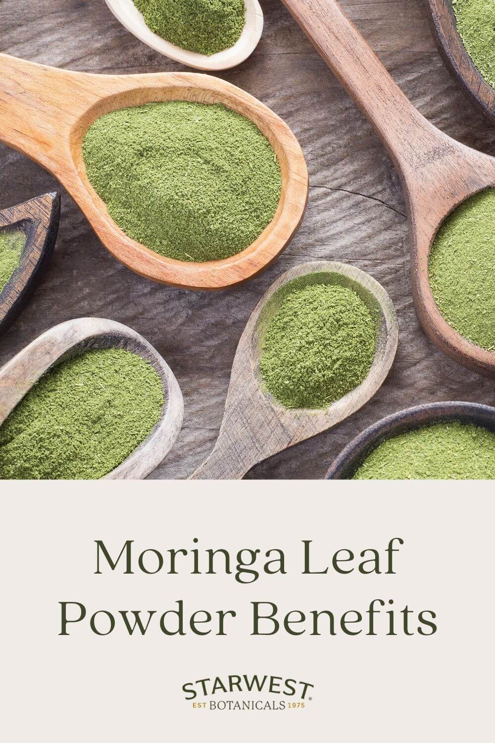 moringa-pwd-benefits-1.jpg