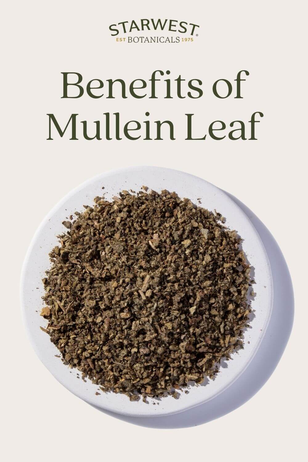 mullein-leaf-benefits-1.jpg