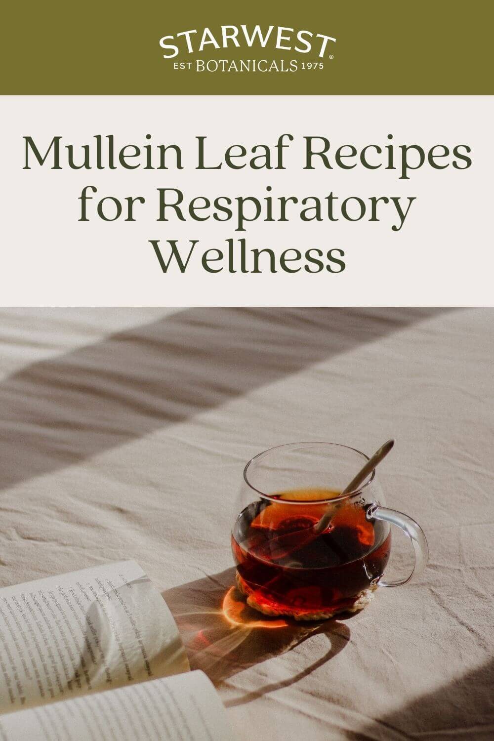 mullein-leaf-recipes-1.jpg