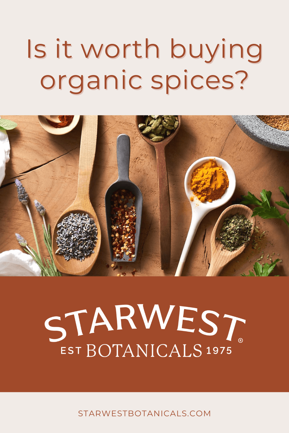 oragnic-spices-wiorth-it.png