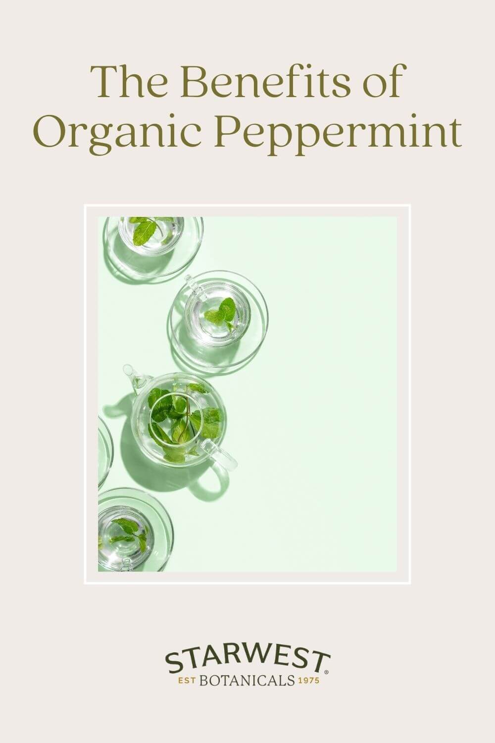 peppermint-blog-1.jpg