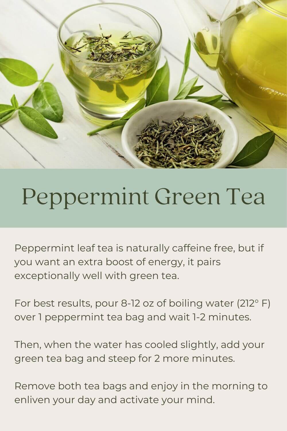 peppermint-blog-2.jpg