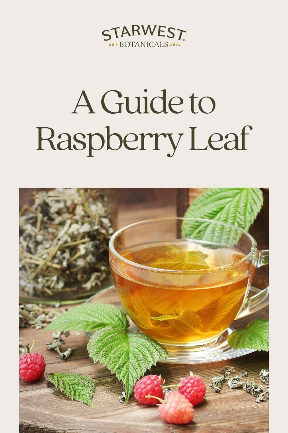 red-raspberry-leaf-tea.jpg