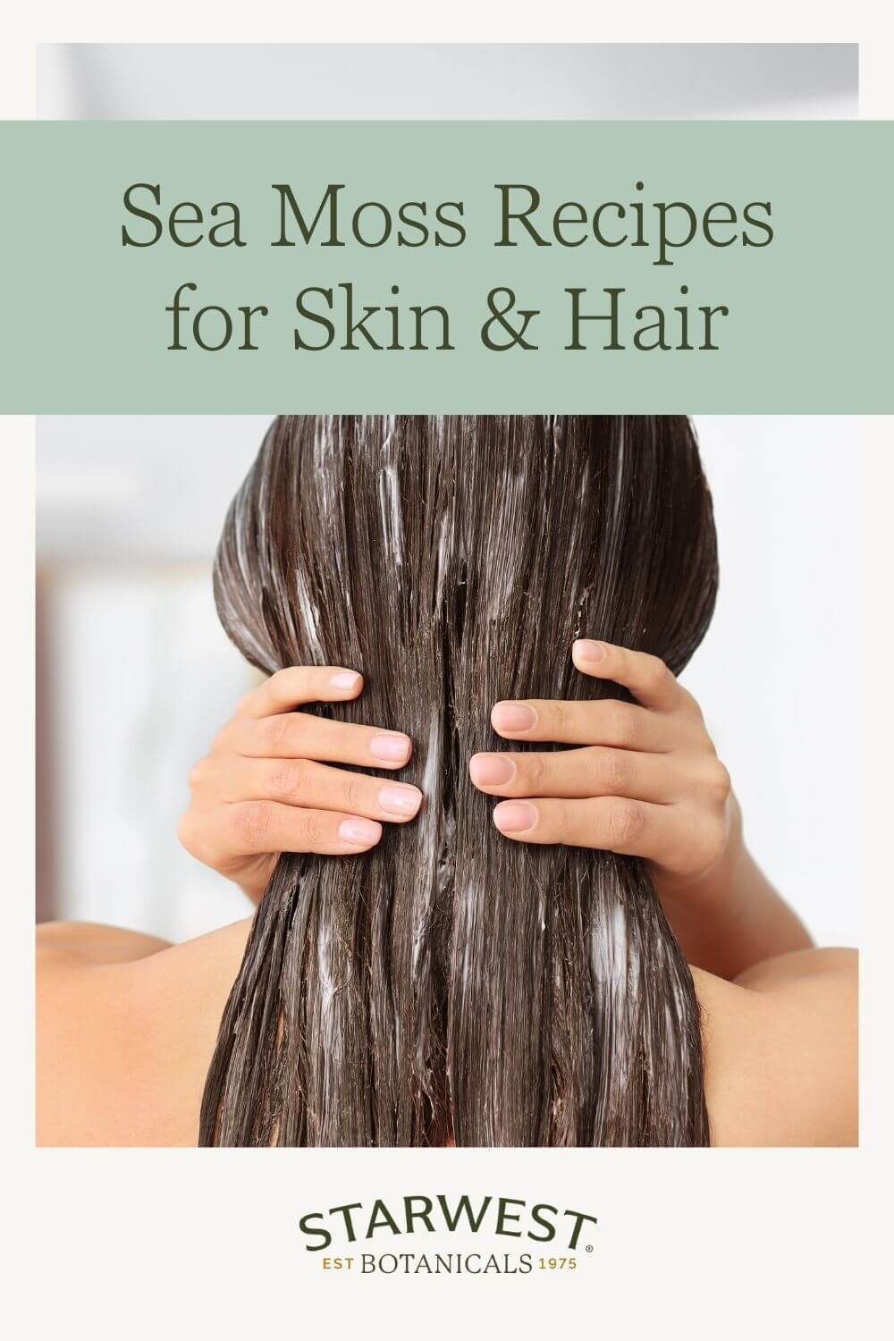 sea-moss-hair-1.jpg