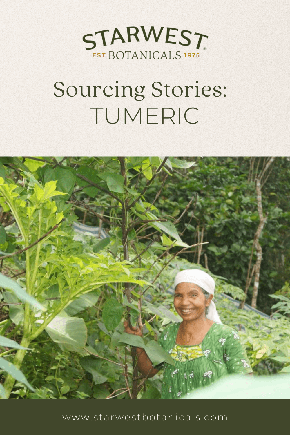 sourcing-story-turmeric-1-.png