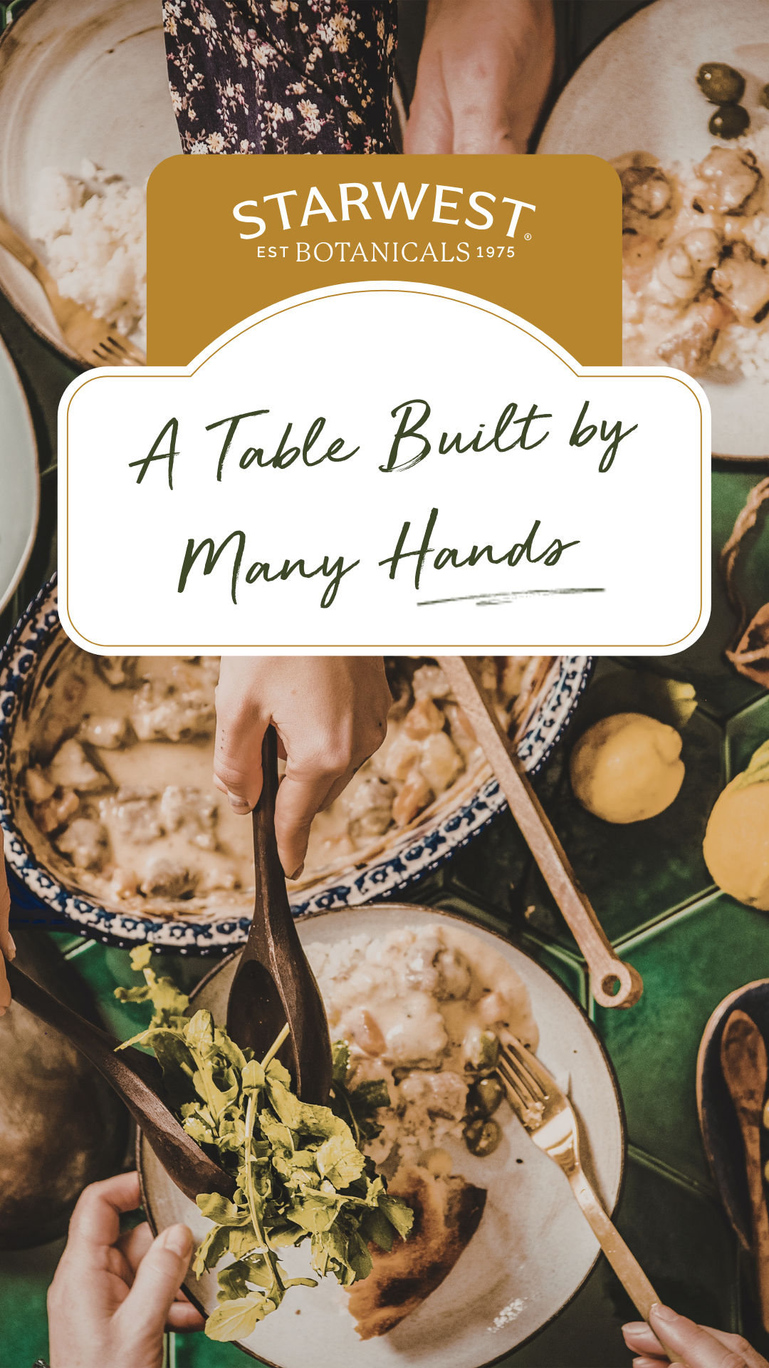 People gathered around thanksgiving table